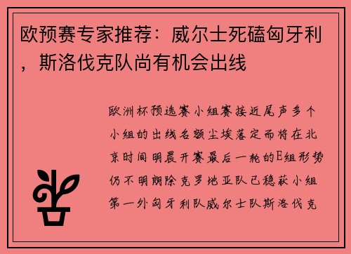 欧预赛专家推荐：威尔士死磕匈牙利，斯洛伐克队尚有机会出线
